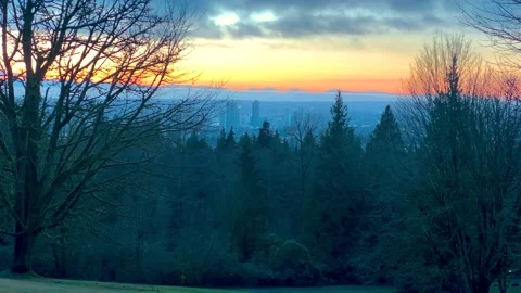 Beautiful Skyline Sunset with Trees on the Front and the City on the Background. Stock Footage 145853128
