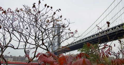 Beautiful Slo mo of Colourful Landscape With Trees of Manhattan Bridge Stock Footage 110491255