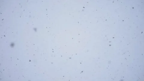Beautiful slow falling snow Stock Footage 318032742