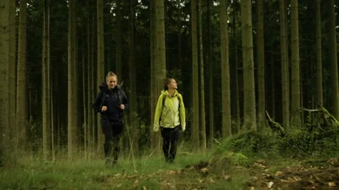 Beautiful Slow Motion Pan of Two Women Hiking through the Woods. Stock Footage 143466101
