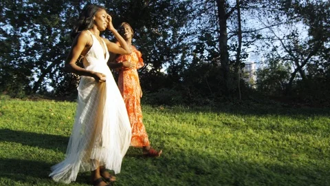 Beautiful Slow Motion of two black women walking in a park Stock-Footage 94245492