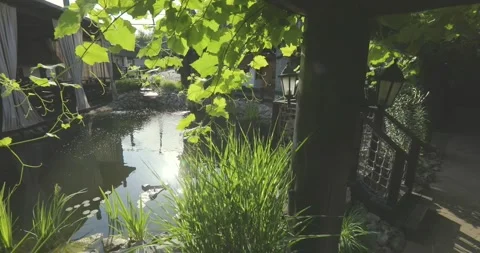 Beautiful small artificial pond, lots of greenery around. Artificial pond in the Stock Footage 317833207