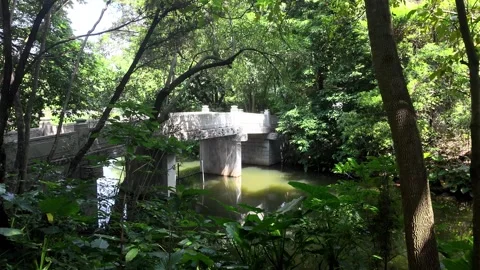 Beautiful Small Bridge in Forest Park 4K Video Video stock 317627109