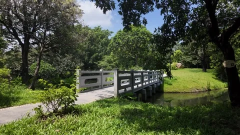 Beautiful Small Bridge in Summer Park 4K Video Video stock 317627157