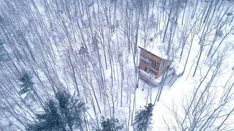 A beautiful small cottage in an oak forest. Vidéo 106912192