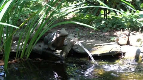 Beautiful small garden pond with a frog-shaped fountain and stone shores Stock Footage 134042377