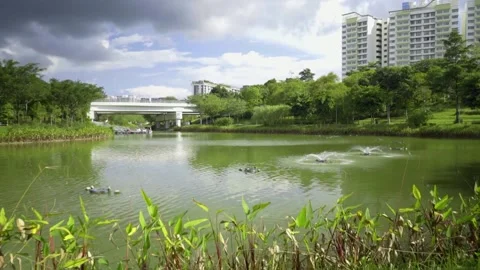 Beautiful small lake overseeing bridge and apartment buildings Stock Footage 138145903