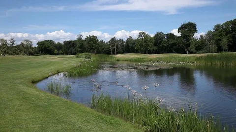 Beautiful small lake. Summer day park landscape Stock Footage 77465536