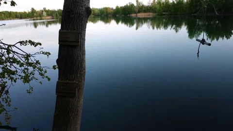 Beautiful small river and bungee jump rope on a tree Stock Footage 113336694