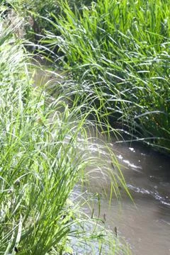 Beautiful small river Stock Photos