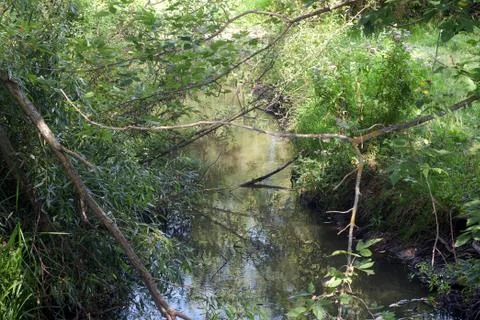 Beautiful small river Stock Photos
