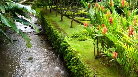 Beautiful small river with waterfall and flowers in Furnas, Sao Miguel Island Stock Footage 144247986