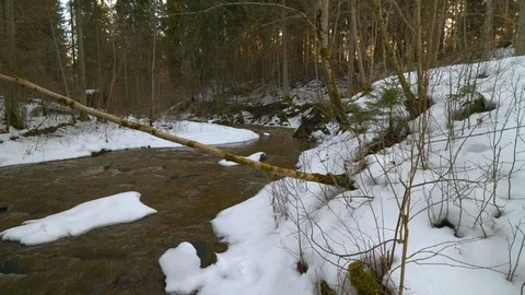 Beautiful small river in winter 動画素材 103530426