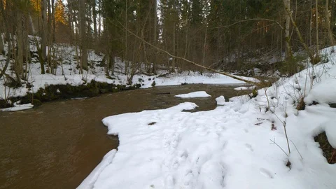 Beautiful small river in winter 動画素材 103546795