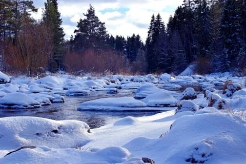 Beautiful small river in winter forest. Stock Photos
