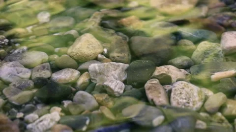 Beautiful small rocks in small forest stream, relaxed video Stock Footage 134029001