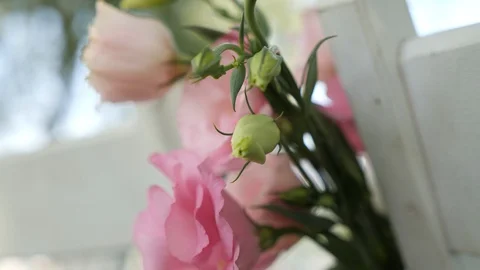 Beautiful small roses Stock Footage 119174350