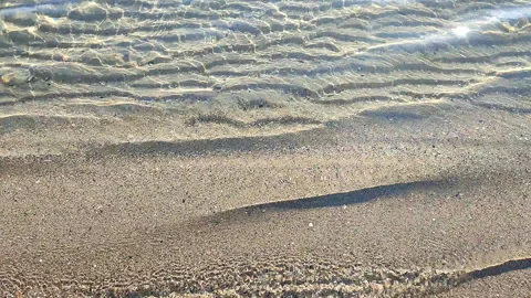 Beautiful small sea waves clean transparent water on sandy beach of sea shore Stock Footage 306071982