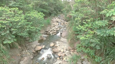 Beautiful small stream flowing down from the mountain. HD Stock Footage 139602660