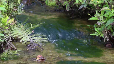 A beautiful small waterfall and stream Stock Footage 22605433