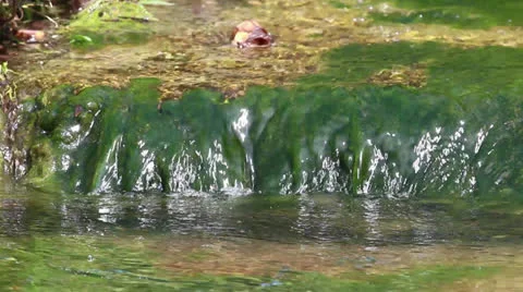 A beautiful small waterfall and stream Stock Footage 22605481