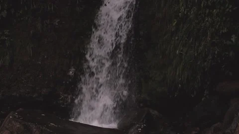 Beautiful small waterfall cascade in the middle of the rainforest Panama. HD. Stock Footage 138716606