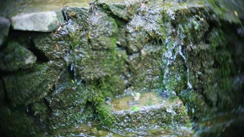 A beautiful small waterfall cascades down green mossy rocks. Video stock 337137948