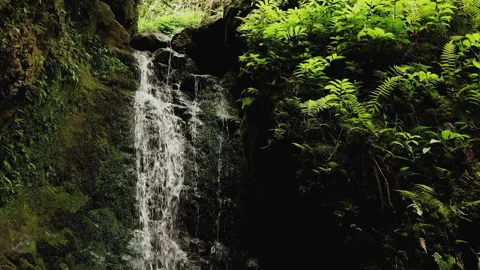 Beautiful small waterfall flowing Stock Footage 163911312