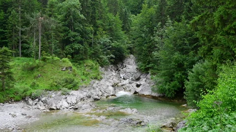 Beautiful small waterfall in the forest, Ausrian Alps Stock-Footage 61492537