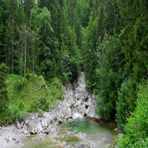 Beautiful small waterfall in the forest, Ausrian Alps Stock Footage