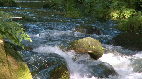Beautiful small waterfall in forest Stock Footage 400197