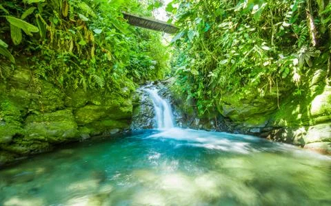 Beautiful small waterfall located inside of a green forest with stones in river Stock Photos