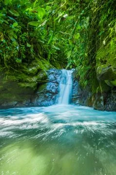 Beautiful small waterfall located inside of a green forest with stones in river 스톡 사진