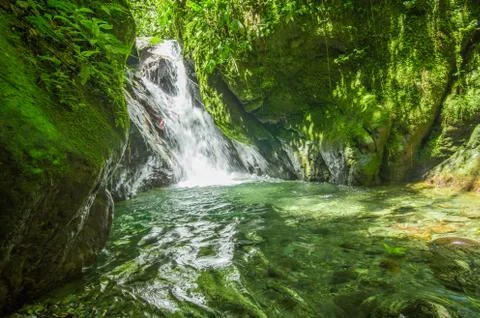 Beautiful small waterfall located inside of a green forest with stones in river Stock Photos