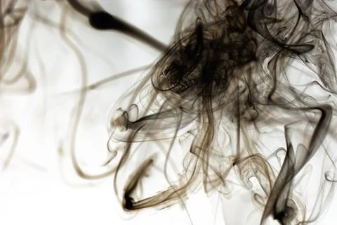 Beautiful smoke on the white background - macro photo Stock Illustration