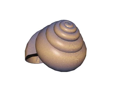 Beautiful snail shell with many turns Stock Illustration