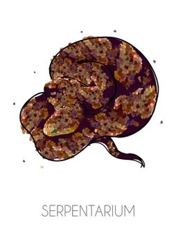 Beautiful snake rolled up in a ball. Vector hand drawn illustration. Letterin Stock Illustration