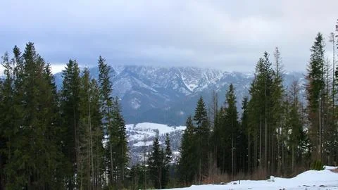 Beautiful snow-capped mountains and pine forests in a Polish city in cloudy Stock Photos