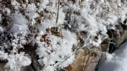 Beautiful snow close up Stock Footage 171798532