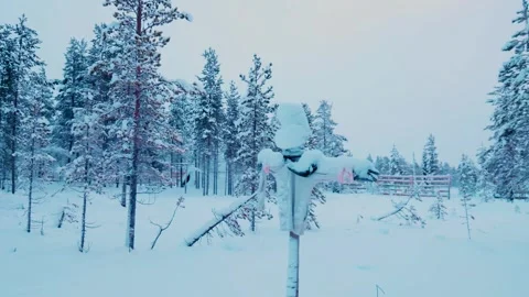 Beautiful snow-covered edge of the forest on the edge of the village Stock Footage 303842006