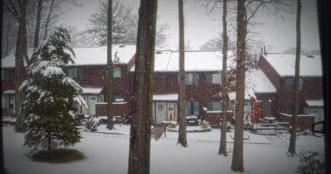 Beautiful Snow Fall in Small Forest Community Natures Beauty Stock Footage 267864569