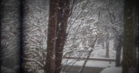 Beautiful Snow Fall in Small Forest Community Natures Beauty Stock Footage 267867689