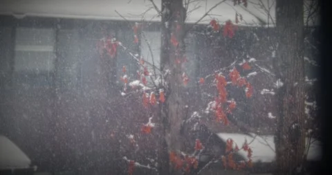 Beautiful Snow Fall in Small Forest Community Natures Beauty Stock Footage 267868942