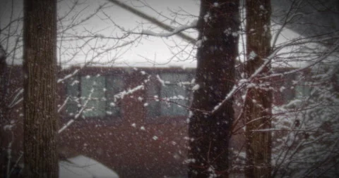 Beautiful Snow Fall in Small Forest Community Natures Beauty Stock Footage 267870031