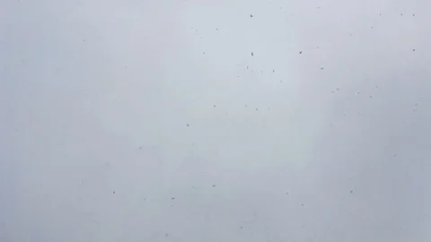 Beautiful snow flakes 스톡 동영상 102271649