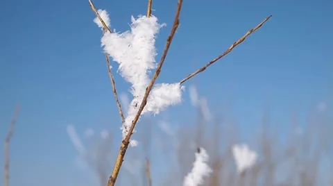 Beautiful snow Vídeo Stock 21632248