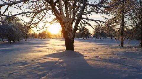 Beautiful snow landscape. Aerial footage. Slow motion. Vídeos de archivo 59000682