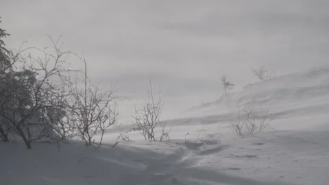 Beautiful snow in the wind Stock Footage 165844354