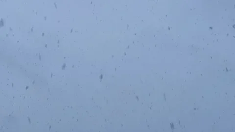 Beautiful Snowfall in December, Capturing Winter's Serene Essence in 4K Stock Footage 329242161