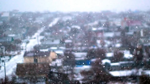 Beautiful snowfall, the first snow Full HD Stock Footage 97242163